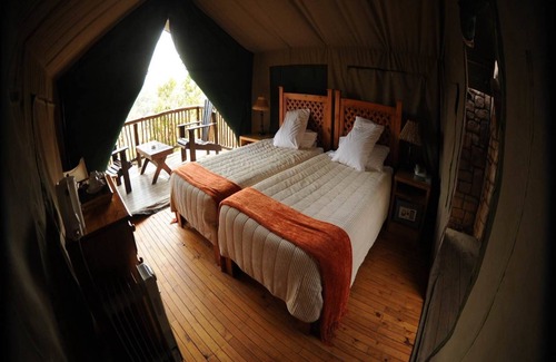 Chintsa Cabin | Explore Inkwenkwezi Private Game Reserve: Family-Friendly Escape