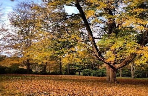 Pomfret Bed & Breakfast | Cozy Inn at Fox Hill Farm: Pet Friendly & Child Welcoming