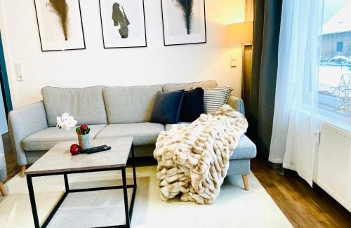 Laddeken Apartment | Discover Innerste Getaway: Family-Friendly & 4-Star Comfort