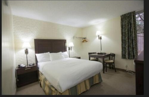 Maywood Hotel | Family-Friendly Inns of Virginia Arlington for Your Getaway