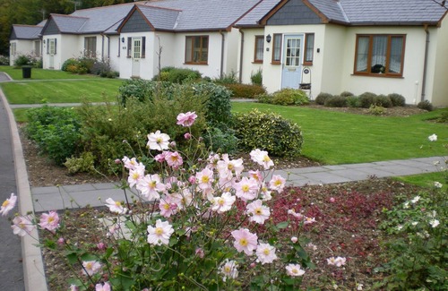 Davidstow Cottage | Tranquil Inny Glade: Streamside Bungalow in North Cornwall