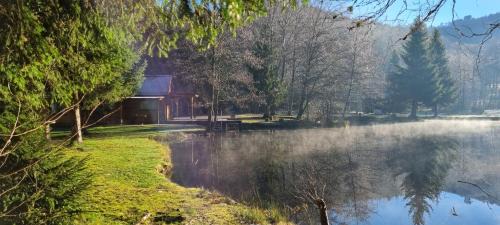 Ban-sur-Meurthe-Clefcy Ski Chalet | Inviting Sérénité Fishing Chalet - Family-Friendly Retreat