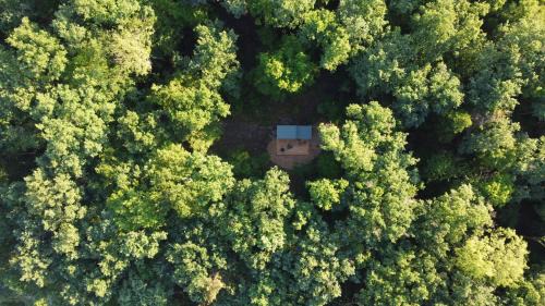 Saint-Laurent Cabin | Exceptional Family Retreat at Inspire Tiny Hotel