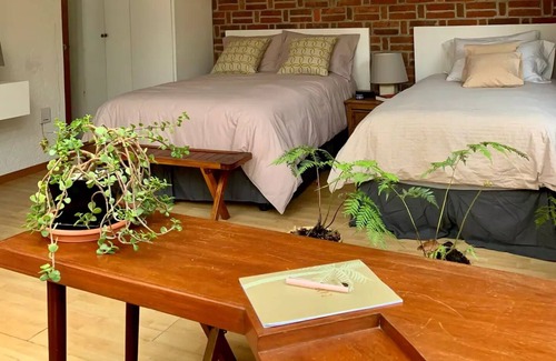 Magdalena Contreras Apartment | Vintage Miniloft with Terrace & Garden Near SurCdMx