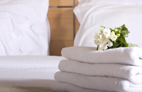 Adrianopolis Hotel | Discover Intercity Manaus: Pet-Friendly 4-Star Retreat