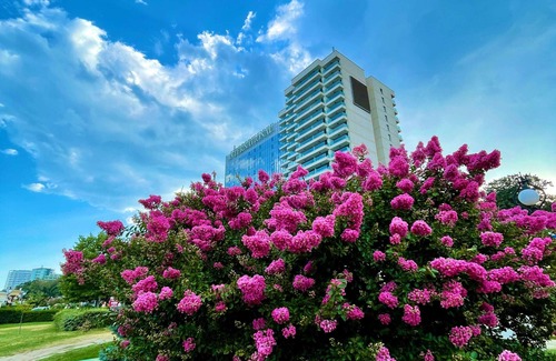 Golden Sands Hotel | Elegant INTERNATIONAL Hotel Casino & Tower Suites Awaits You