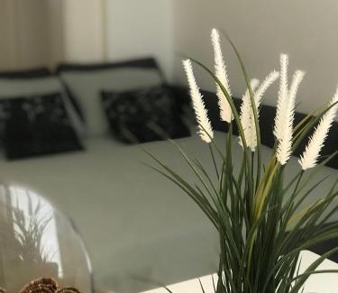Ferrara Historic Centre Apartment | Prime Interno4home: Historic Center with Parking & Pet Friendly