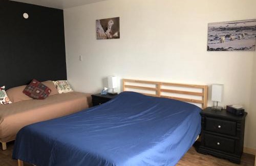Churchill House | Exceptional Inukshuk Rooms: Family-Friendly with Kitchen