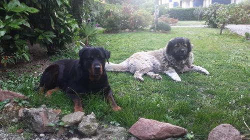 Aggregazione Rionale 1 Bed & Breakfast | Family-Friendly Invilla B&B with Top Guest Ratings of 9/10