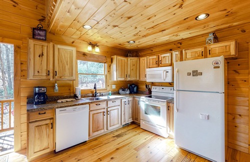 Blue Ridge Cabin | Cozy Dog-Friendly Cabin with Hot Tub & Mountain Views