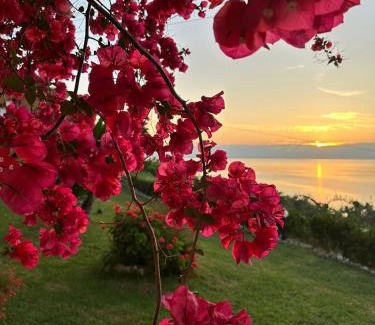 Dafnata Apartment | Cozy Ionian Sea View Studios: Pet-Friendly & Oceanfront Stay