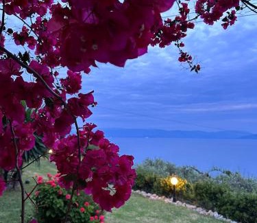 Dafnata Apartment | Cozy Ionian Sea View Studios: Pet-Friendly & Oceanfront Stay