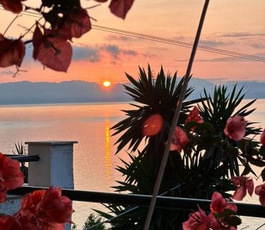 Dafnata Apartment | Cozy Ionian Sea View Studios: Pet-Friendly & Oceanfront Stay