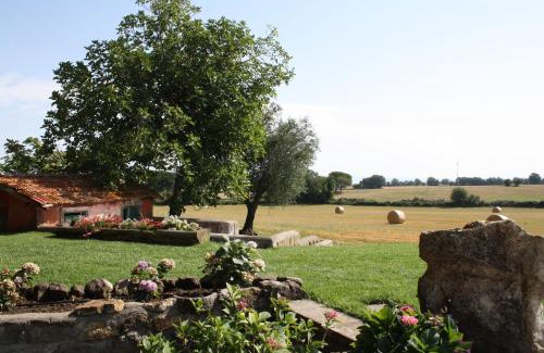Viterbo Bed & Breakfast | Relax at Ippocastano B&B with Pool & Hot Tub Access