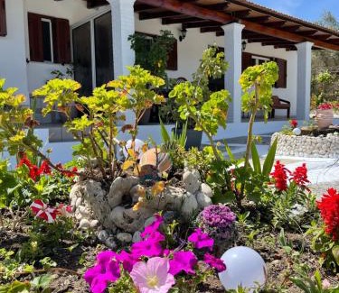 Chalikounas House | Experience IRENE by Antigone: Oceanfront Bliss Awaits You