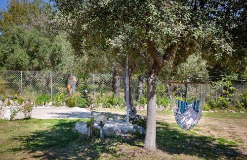 Chalikounas House | Experience IRENE by Antigone: Oceanfront Bliss Awaits You