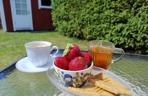 Raseborg Apartment | Cozy Ireneborg: Family-Friendly Cottage with Sauna