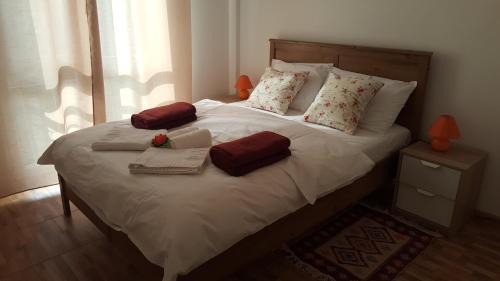 Ploiesti Apartment | Top-Rated Iri's Downtown Apartment with Hot Tub Access