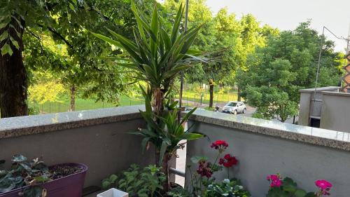 Bergamo Bed & Breakfast | Exceptional Iride: Wheelchair Accessible with Breakfast Included