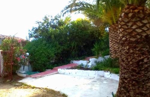 Plomari Apartment | Discover Irini Studios: Pet-Friendly Retreat with Breakfast