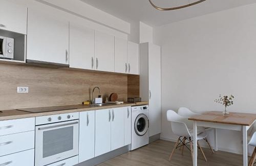 Cordau Apartment | Iris Thermal Apartment, Baile Felix