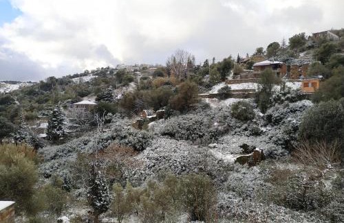 Steni Dirfyos Apartment | Discover Iris' Traditional Stone House - Pet Friendly Retreat