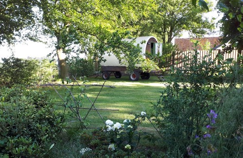 Wouwse Plantage Other | Comfortable Irish Bowtop Retreat in Huize Ouwervelden