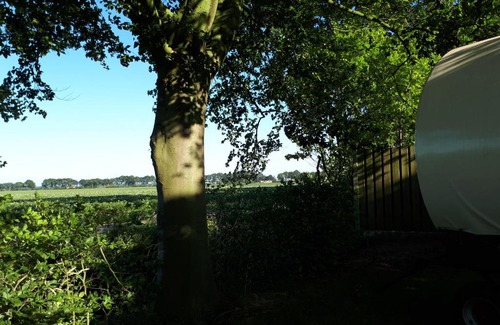 Wouwse Plantage Other | Comfortable Irish Bowtop Retreat in Huize Ouwervelden