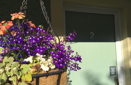 Irvine House | Pet-Friendly Irvine Bay with Outstanding 9/10 Guest Rating