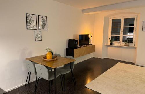 Waldshut-Tiengen Apartment | Top-Rated Isaak Apartment Stadtperle for Families