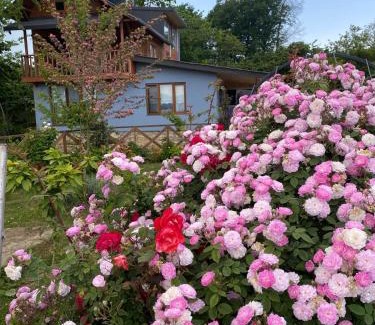 Fatsa Villa | Experience Family-Friendly Comfort at ISABELLA Kırsal Yaşam Evi