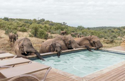 Maruleng Cabin | Isambane Camp: Oceanfront Retreat with Spa & Pool