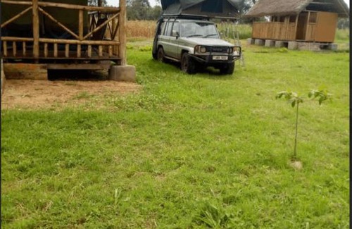 Ishasha Other | Discover Ishasha Pride Lodge: Family-Friendly Oceanfront Retreat