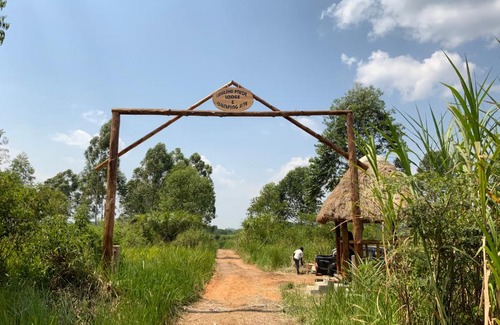 Ishasha Other | Discover Ishasha Pride Lodge: Family-Friendly Oceanfront Retreat