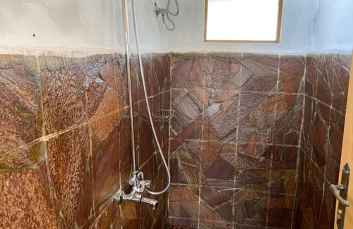 Ishasha Other | Discover Ishasha Pride Lodge: Family-Friendly Oceanfront Retreat