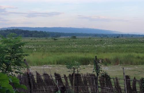 Chitwan District House | Top-Rated Ishq Sanctum: A Conscious Guest House Retreat