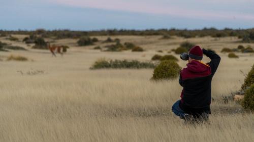 Camarones Other | Isla Leones Camps
