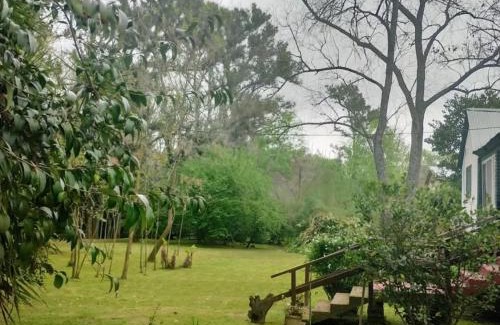 Partido de Tigre House | Isla Pupe: Guest Rated 9.3, Your Ideal Getaway Awaits