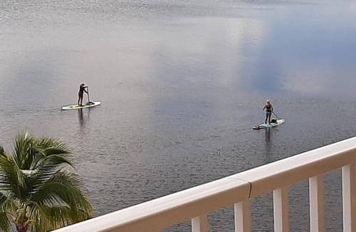 Tavernier Condo | Oceanfront Condo with Amazing Views & Top Amenities!
