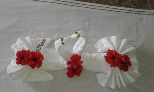 Nadi Bed & Breakfast | Budget-Friendly Island Accommodation in Nadi with Kitchen