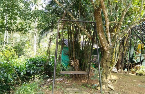 Vaduvanchal House | Pet-Friendly Island Homestay for Family Getaways