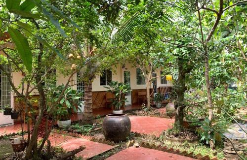 My Tho House | Top-Rated Island Homestay in Tiền Giang for Families & Pets
