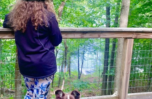 Monmouth House | Discover Tree House Island Life: Pet-Friendly Retreat