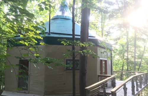 Monmouth House | Discover Tree House Island Life: Pet-Friendly Retreat