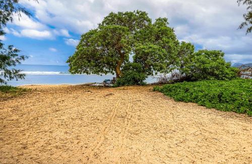 Wailua Hotel | Islander on the Beach: Oceanfront Oasis with Pool & Hot Tub