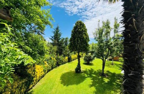 Karaburun Koyu Hotel | Pet-Friendly Istanbul Airport Treekos Suite Hotel Awaits You