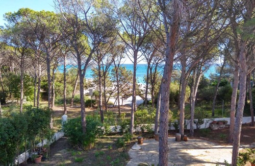 Cala Liberotto Apartment | Beachfront LA PIGNA Apartment: 10/10 Guest Rated Retreat