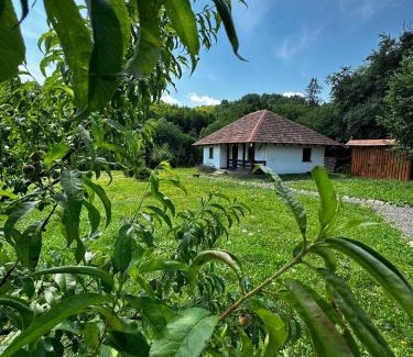 Turya Paseka House | Guest Rated 10/10 at IT-Hutorok with Hot Tub & Breakfast