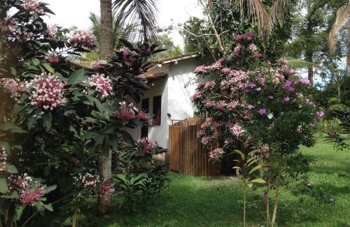 Itacare House | Explore Nature at Itacaré EcoRanch Casa with Family-Friendly Amenities