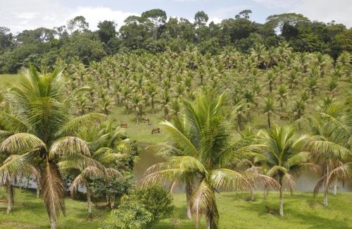 Itacare House | Explore Nature at Itacaré EcoRanch Casa with Family-Friendly Amenities